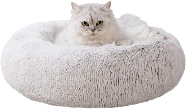 Cat Beds for Indoor Cats